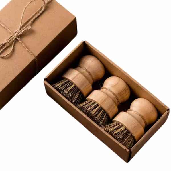 Coconut Bristle 3Pcs
