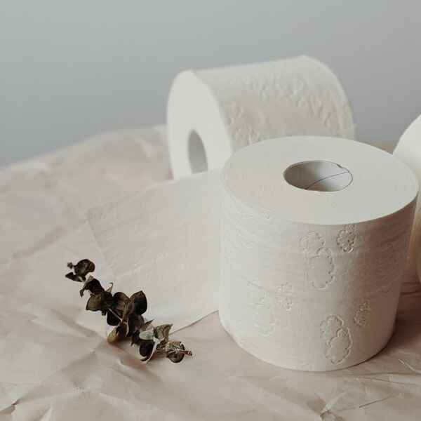eco friendly products australia eco friendly products for home